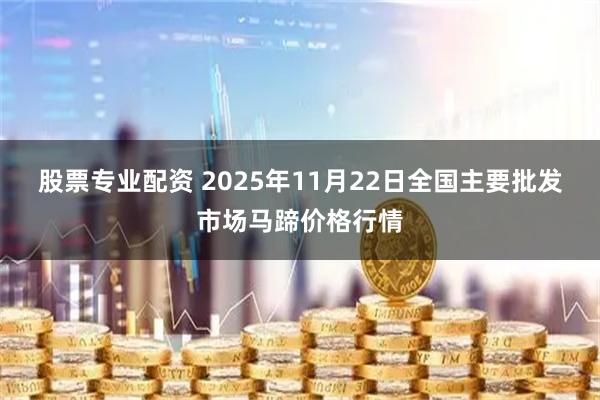 股票专业配资 2025年11月22日全国主要批发市场马蹄价格行情