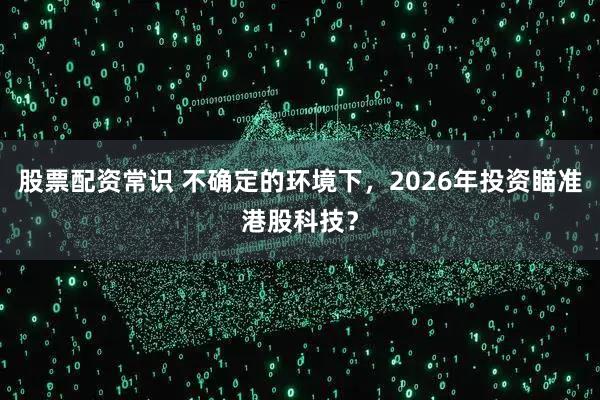 股票配资常识 不确定的环境下，2026年投资瞄准港股科技？