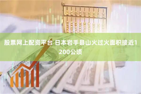 股票网上配资平台 日本岩手县山火过火面积接近1200公顷